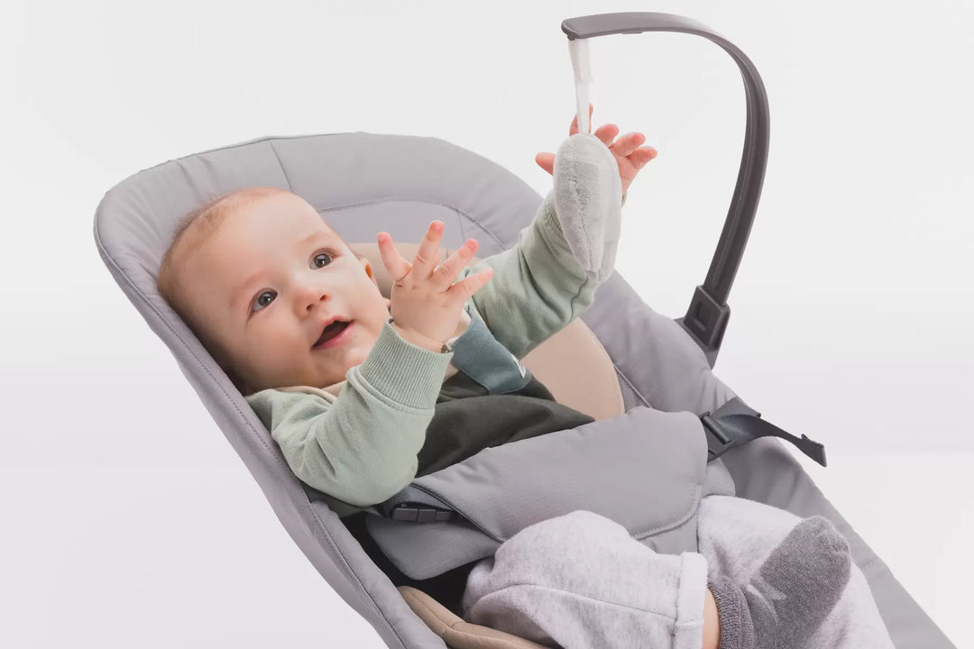 Babywippe Star Bouncer (diverse Farben)