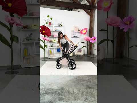 Moon Hype (diverse Farben)