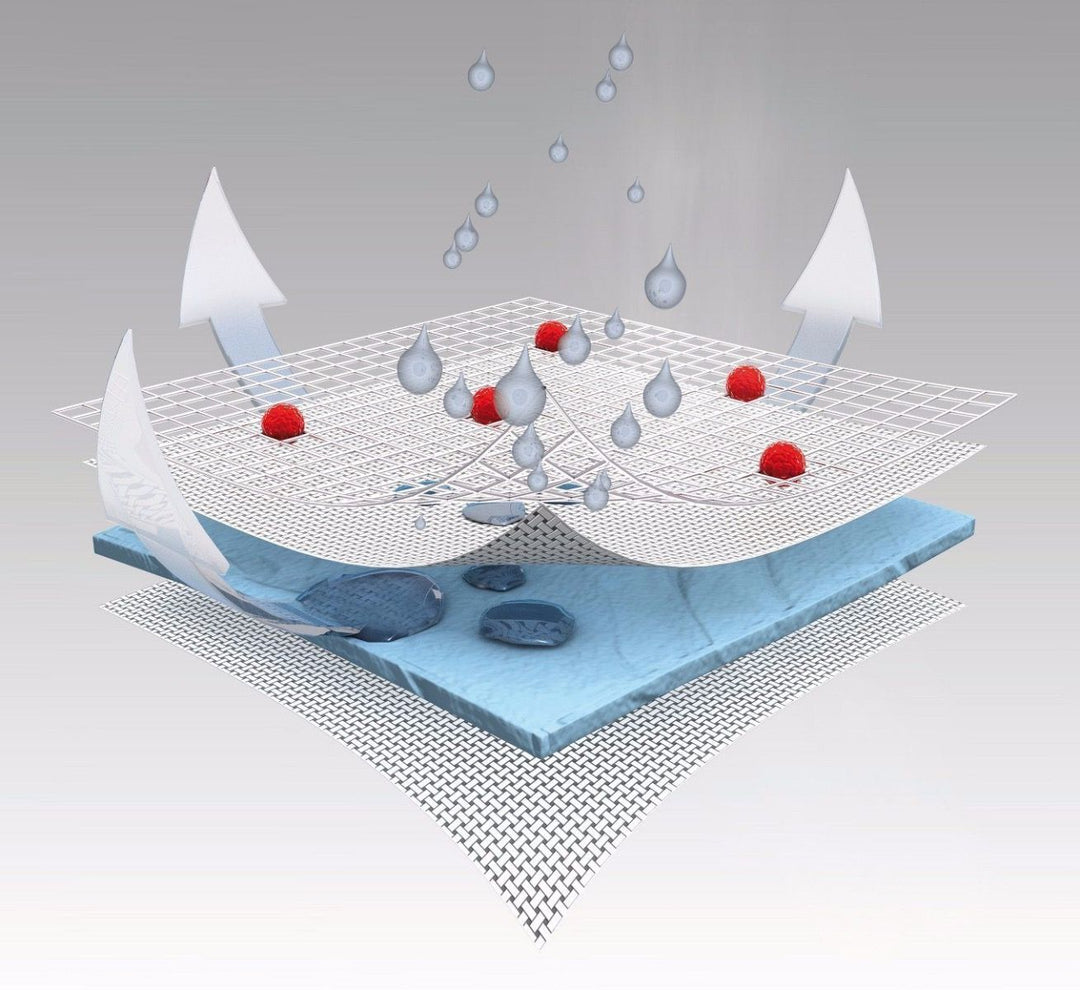 Polarstern (various sizes)