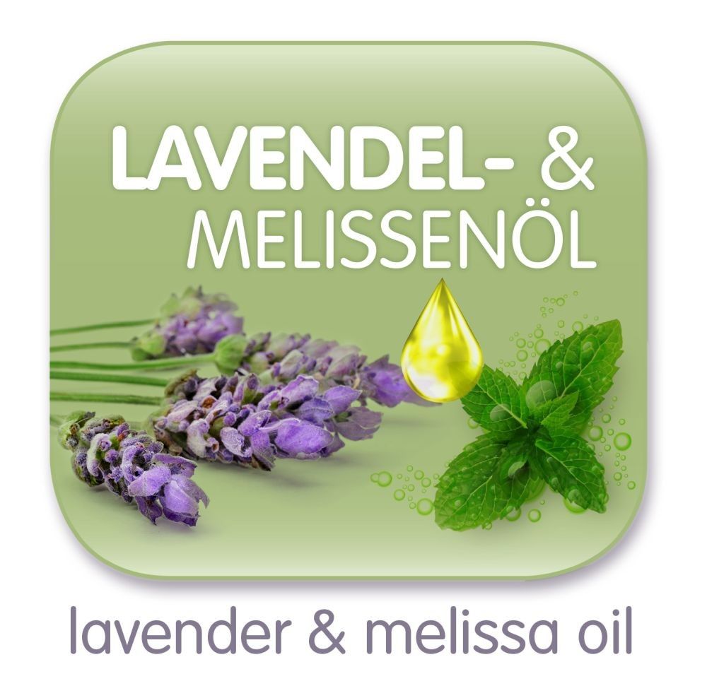 Polarstern (various sizes)