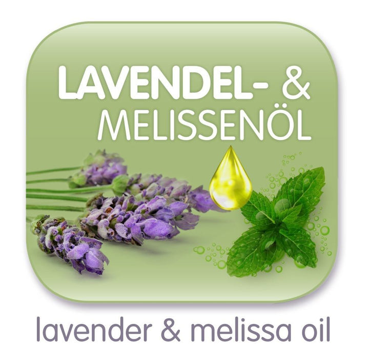 Polarstern (various sizes)