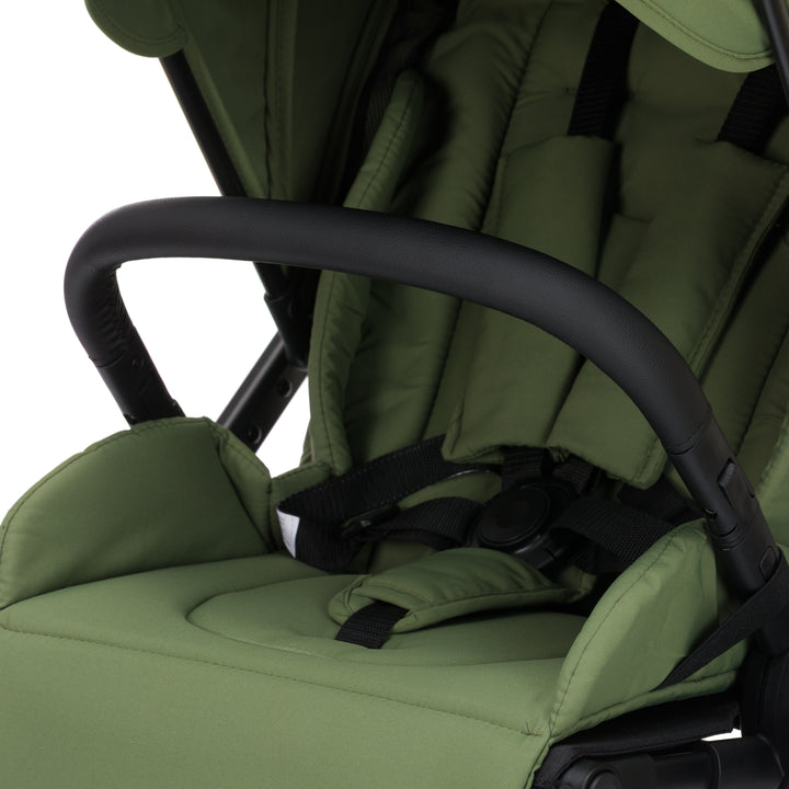 Fill Lion green (5-in-1)