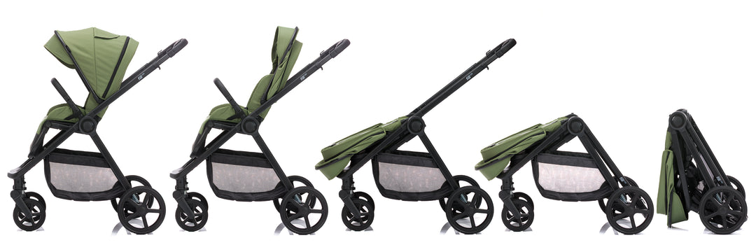Fill Lion green (5-in-1)