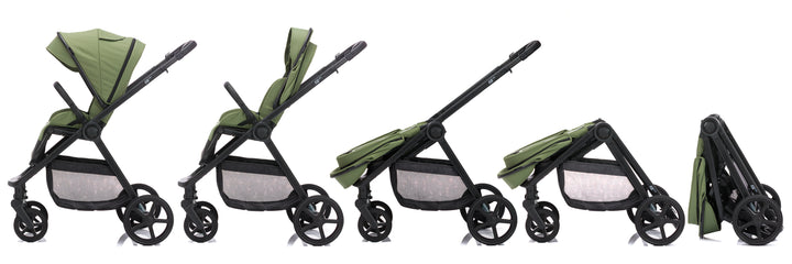 Fill Lion green (5-in-1)