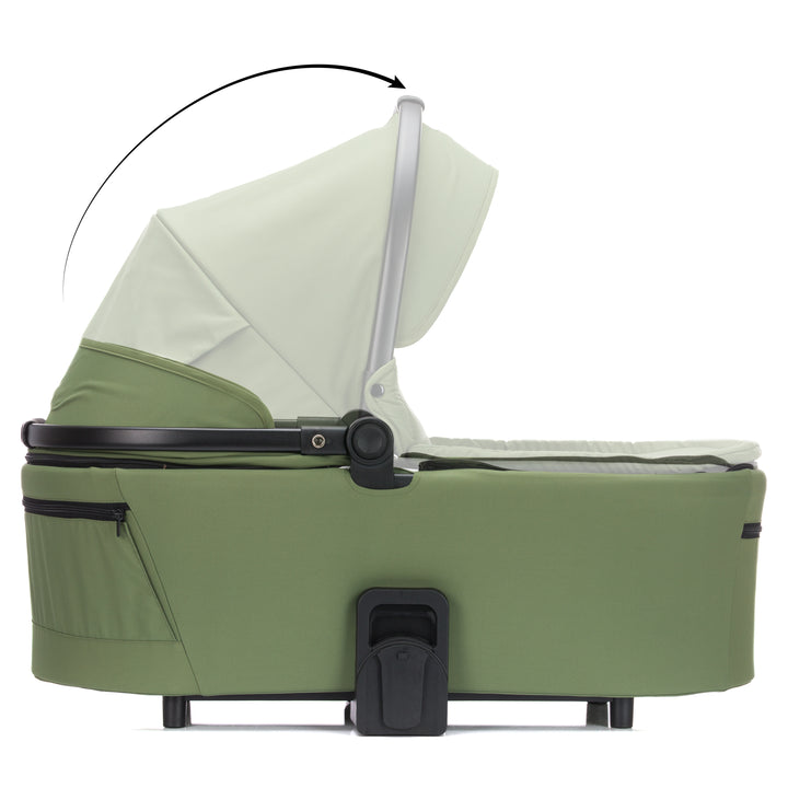 Fill Lion green (5-in-1)