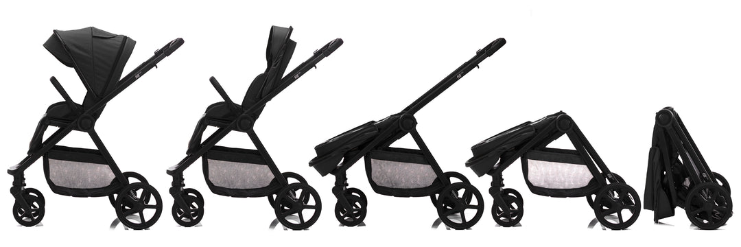 Fill Lion schwarz (5-in-1)