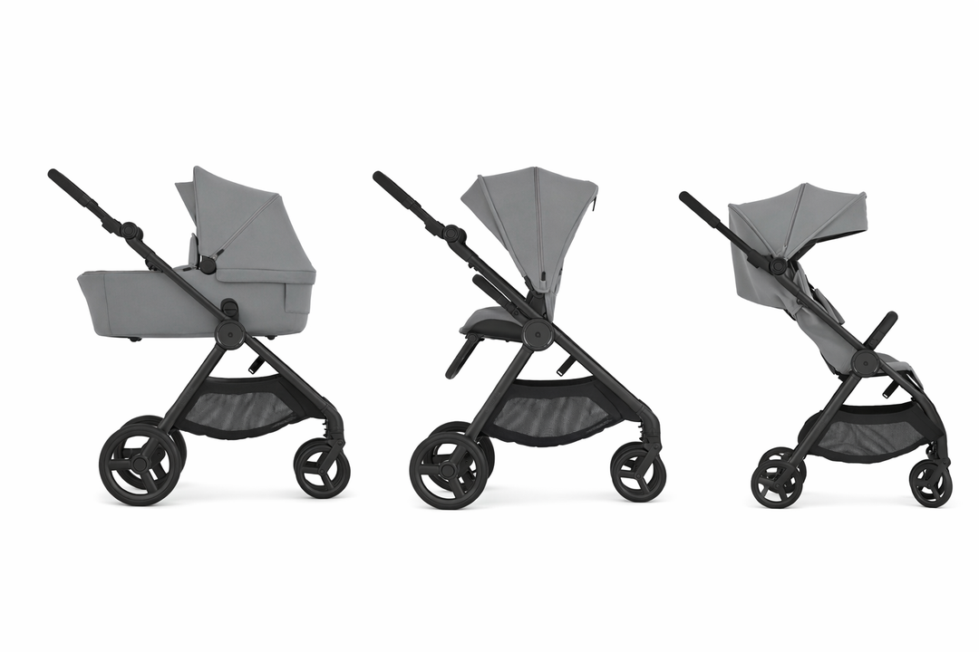 Anex iQ Basic (diverse Farben)