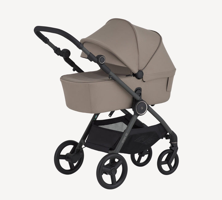 Anex iQ Basic (diverse Farben) - BLACK FRIDAY SALE