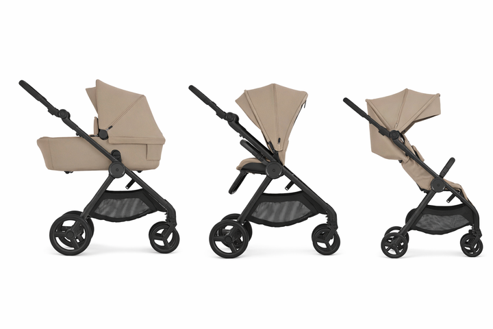 Anex iQ Basic (diverse Farben)