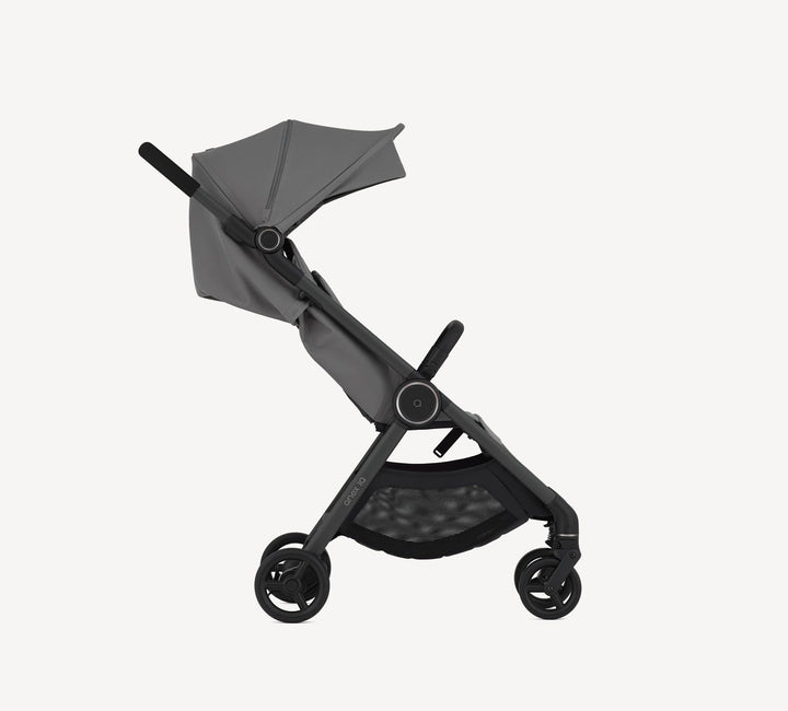 Anex iQ Basic (diverse Farben) - BLACK FRIDAY SALE