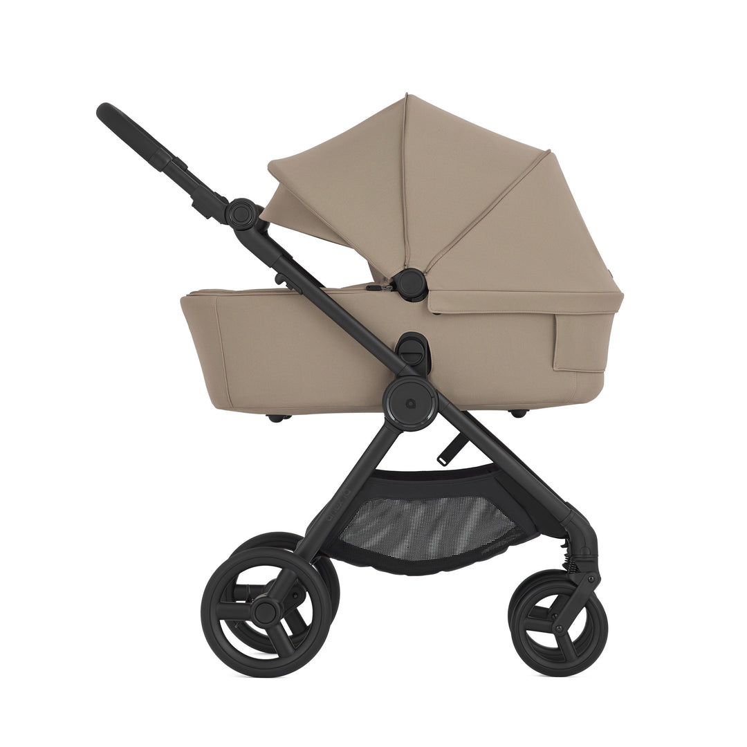 Anex iQ Basic (diverse Farben)